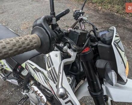 Белый Геон Dakar 250, объемом двигателя 0.25 л и пробегом 10 тыс. км за 1900 $, фото 13 на Automoto.ua