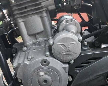 Белый Геон Dakar 250, объемом двигателя 0.25 л и пробегом 10 тыс. км за 1900 $, фото 14 на Automoto.ua