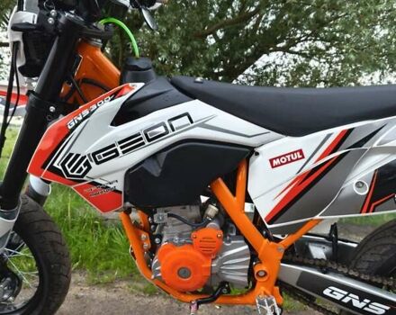 Білий Геон Dakar GNS 300, об'ємом двигуна 0.28 л та пробігом 1 тис. км за 2500 $, фото 12 на Automoto.ua
