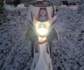Белый Геон Dakar GNS 300, объемом двигателя 0.3 л и пробегом 4 тыс. км за 2099 $, фото 6 на Automoto.ua