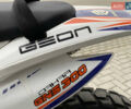 Белый Геон Dakar GNS 300, объемом двигателя 0.28 л и пробегом 4 тыс. км за 2450 $, фото 20 на Automoto.ua