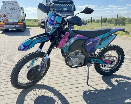 Черный Геон Dakar GNS 300, объемом двигателя 0.28 л и пробегом 2 тыс. км за 2400 $, фото 19 на Automoto.ua