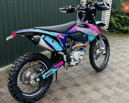 Черный Геон Dakar GNS 300, объемом двигателя 0.3 л и пробегом 1 тыс. км за 2499 $, фото 26 на Automoto.ua