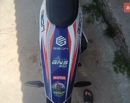 Геон Dakar GNS 300, объемом двигателя 0 л и пробегом 7 тыс. км за 2200 $, фото 7 на Automoto.ua