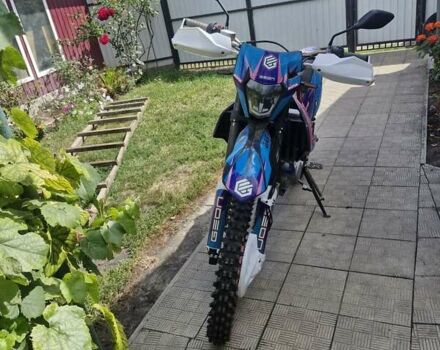 Геон Dakar GNS 300, об'ємом двигуна 0.28 л та пробігом 1 тис. км за 2100 $, фото 8 на Automoto.ua
