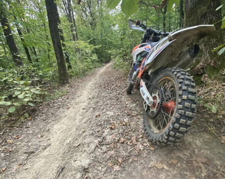 Геон Dakar GNS 300, об'ємом двигуна 0 л та пробігом 17 тис. км за 2350 $, фото 5 на Automoto.ua