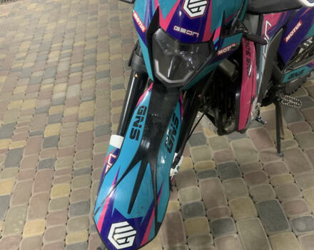 Геон Dakar GNS 300R, объемом двигателя 0.28 л и пробегом 2 тыс. км за 2500 $, фото 8 на Automoto.ua