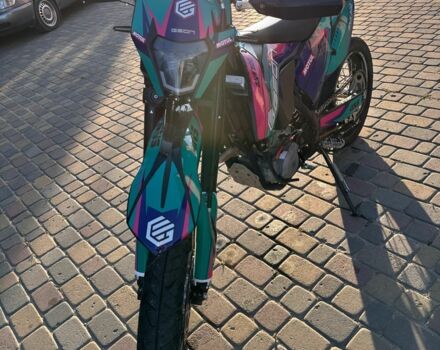 Геон Dakar GNS 300R, объемом двигателя 0.3 л и пробегом 0 тыс. км за 2780 $, фото 13 на Automoto.ua