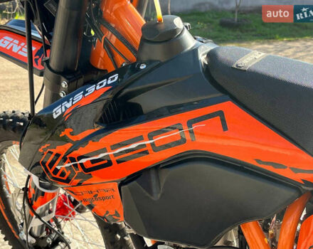 Геон Dakar GNS 300R, объемом двигателя 0.3 л и пробегом 1 тыс. км за 2800 $, фото 18 на Automoto.ua