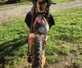Геон Dakar GNS 300R, объемом двигателя 0.3 л и пробегом 0 тыс. км за 2500 $, фото 4 на Automoto.ua