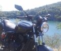 Геон Інша, об'ємом двигуна 0.32 л та пробігом 0 тис. км за 1400 $, фото 7 на Automoto.ua