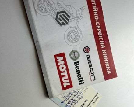 Геон Інша, об'ємом двигуна 0.25 л та пробігом 0 тис. км за 1700 $, фото 13 на Automoto.ua