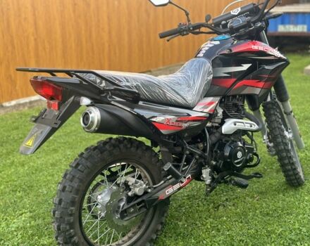 Геон Другая, объемом двигателя 0.25 л и пробегом 0 тыс. км за 1480 $, фото 4 на Automoto.ua