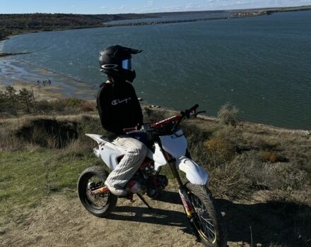 Геон Інша, об'ємом двигуна 0.13 л та пробігом 0 тис. км за 713 $, фото 3 на Automoto.ua