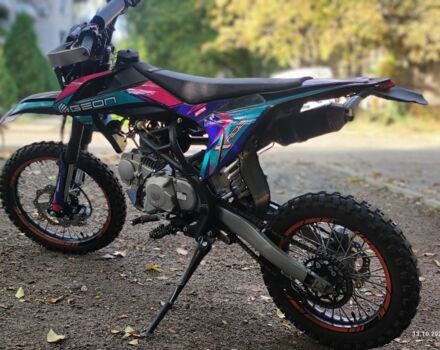 Геон Інша, об'ємом двигуна 0.13 л та пробігом 0 тис. км за 1300 $, фото 3 на Automoto.ua