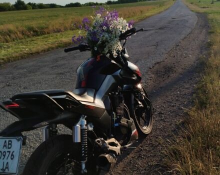 Геон Інша, об'ємом двигуна 0.25 л та пробігом 0 тис. км за 1150 $, фото 2 на Automoto.ua