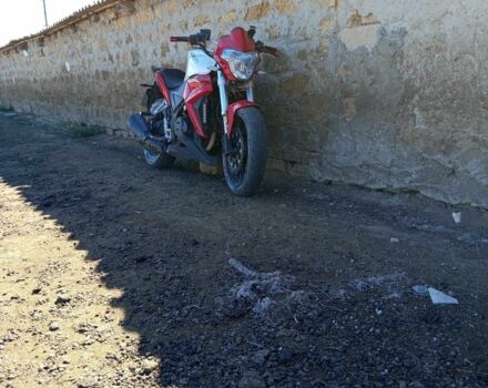 Геон Другая, объемом двигателя 0.25 л и пробегом 0 тыс. км за 473 $, фото 2 на Automoto.ua