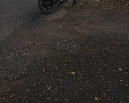 Геон Другая, объемом двигателя 0.25 л и пробегом 0 тыс. км за 473 $, фото 3 на Automoto.ua