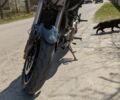 Геон Другая, объемом двигателя 0.25 л и пробегом 0 тыс. км за 2000 $, фото 3 на Automoto.ua