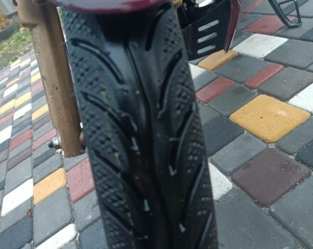 Геон Інша, об'ємом двигуна 0.25 л та пробігом 0 тис. км за 904 $, фото 4 на Automoto.ua