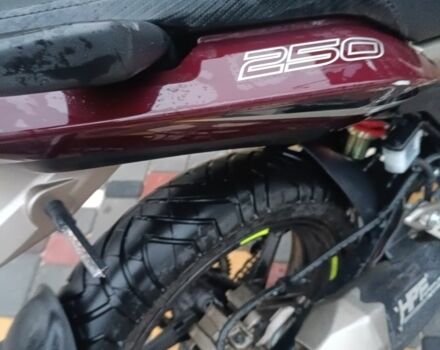 Геон Інша, об'ємом двигуна 0.25 л та пробігом 0 тис. км за 904 $, фото 5 на Automoto.ua