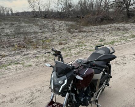 Геон Інша, об'ємом двигуна 0.25 л та пробігом 0 тис. км за 879 $, фото 6 на Automoto.ua