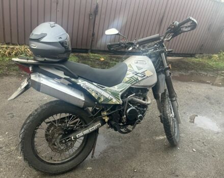 Геон Другая, объемом двигателя 0.25 л и пробегом 0 тыс. км за 1000 $, фото 6 на Automoto.ua