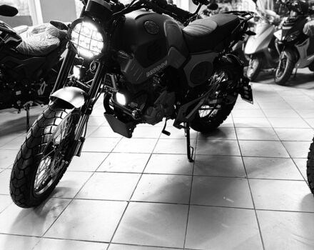 Геон Другая, объемом двигателя 0.25 л и пробегом 0 тыс. км за 1890 $, фото 18 на Automoto.ua