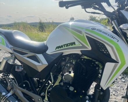 Геон Інша, об'ємом двигуна 0.25 л та пробігом 0 тис. км за 1350 $, фото 2 на Automoto.ua