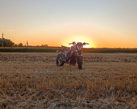 Геон Другая, объемом двигателя 0.25 л и пробегом 0 тыс. км за 1517 $, фото 1 на Automoto.ua