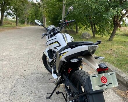 Геон Інша, об'ємом двигуна 0.25 л та пробігом 0 тис. км за 1430 $, фото 4 на Automoto.ua