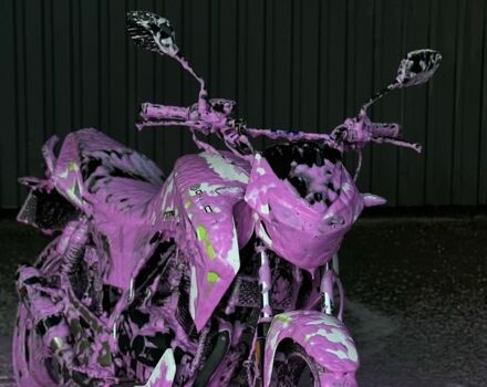 Геон Інша, об'ємом двигуна 0.25 л та пробігом 0 тис. км за 1350 $, фото 6 на Automoto.ua