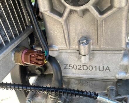 Геон Другая, объемом двигателя 0.25 л и пробегом 0 тыс. км за 1372 $, фото 6 на Automoto.ua