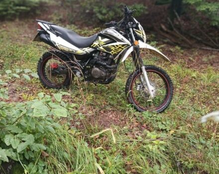 Геон Інша, об'ємом двигуна 0.25 л та пробігом 0 тис. км за 827 $, фото 12 на Automoto.ua