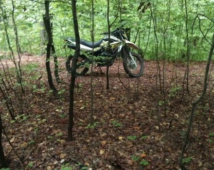Геон Інша, об'ємом двигуна 0.25 л та пробігом 0 тис. км за 827 $, фото 15 на Automoto.ua