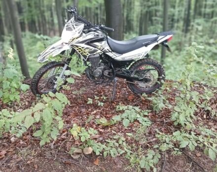 Геон Інша, об'ємом двигуна 0.25 л та пробігом 0 тис. км за 827 $, фото 1 на Automoto.ua