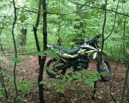 Геон Інша, об'ємом двигуна 0.25 л та пробігом 0 тис. км за 827 $, фото 14 на Automoto.ua