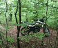 Геон Інша, об'ємом двигуна 0.25 л та пробігом 0 тис. км за 827 $, фото 14 на Automoto.ua