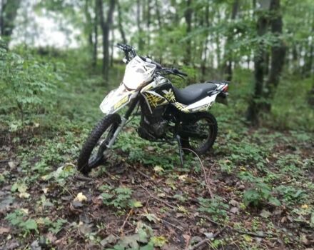 Геон Інша, об'ємом двигуна 0.25 л та пробігом 0 тис. км за 827 $, фото 5 на Automoto.ua