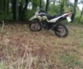 Геон Інша, об'ємом двигуна 0.25 л та пробігом 0 тис. км за 827 $, фото 16 на Automoto.ua