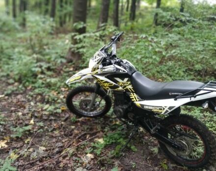 Геон Інша, об'ємом двигуна 0.25 л та пробігом 0 тис. км за 827 $, фото 6 на Automoto.ua