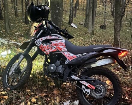 Геон Другая, объемом двигателя 0.25 л и пробегом 0 тыс. км за 1200 $, фото 5 на Automoto.ua