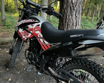 Геон Другая, объемом двигателя 0.25 л и пробегом 0 тыс. км за 1200 $, фото 6 на Automoto.ua