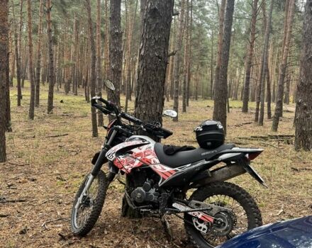 Геон Другая, объемом двигателя 0.25 л и пробегом 0 тыс. км за 1200 $, фото 4 на Automoto.ua