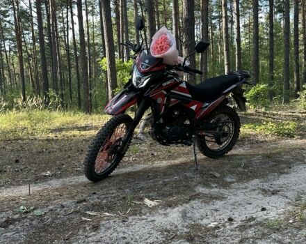 Геон Другая, объемом двигателя 0.25 л и пробегом 0 тыс. км за 1636 $, фото 1 на Automoto.ua
