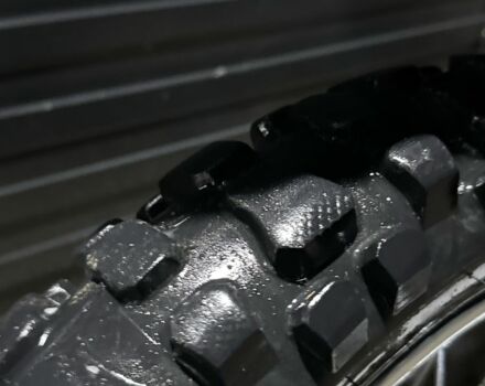 Геон Другая, объемом двигателя 0.25 л и пробегом 0 тыс. км за 650 $, фото 3 на Automoto.ua