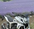 Геон Другая, объемом двигателя 0.25 л и пробегом 0 тыс. км за 1540 $, фото 1 на Automoto.ua