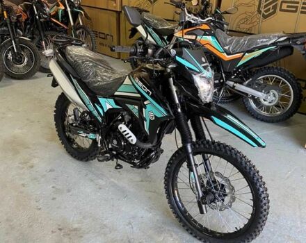 Геон Другая, объемом двигателя 0.25 л и пробегом 0 тыс. км за 1780 $, фото 4 на Automoto.ua