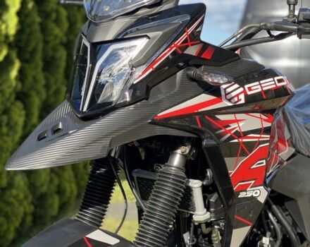 Геон Другая, объемом двигателя 0.25 л и пробегом 0 тыс. км за 1849 $, фото 8 на Automoto.ua