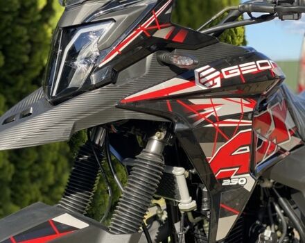 Геон Другая, объемом двигателя 0.25 л и пробегом 0 тыс. км за 1849 $, фото 7 на Automoto.ua